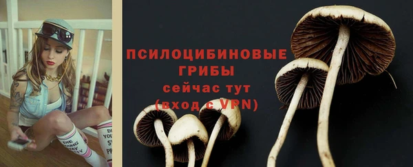 мдма Козловка