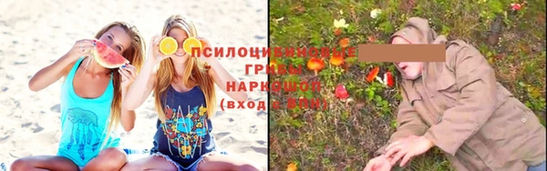 тгк Кодинск