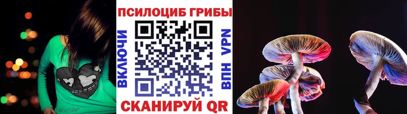Галлюциногенные грибы Cubensis  Курчатов 