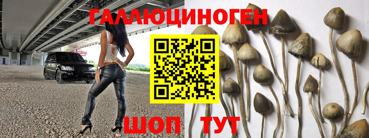Псилоцибиновые грибы прущие грибы Курчатов