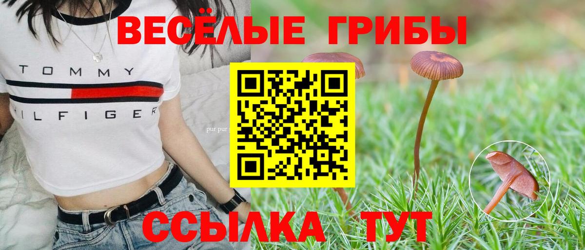 Курчатов  Галлюциногенные грибы ЛСД  Вход с VPN 