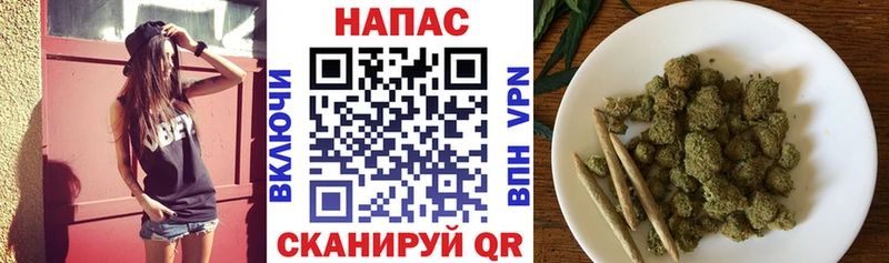 где можно купить наркотик  Курчатов  Бошки марихуана ГИДРОПОН 